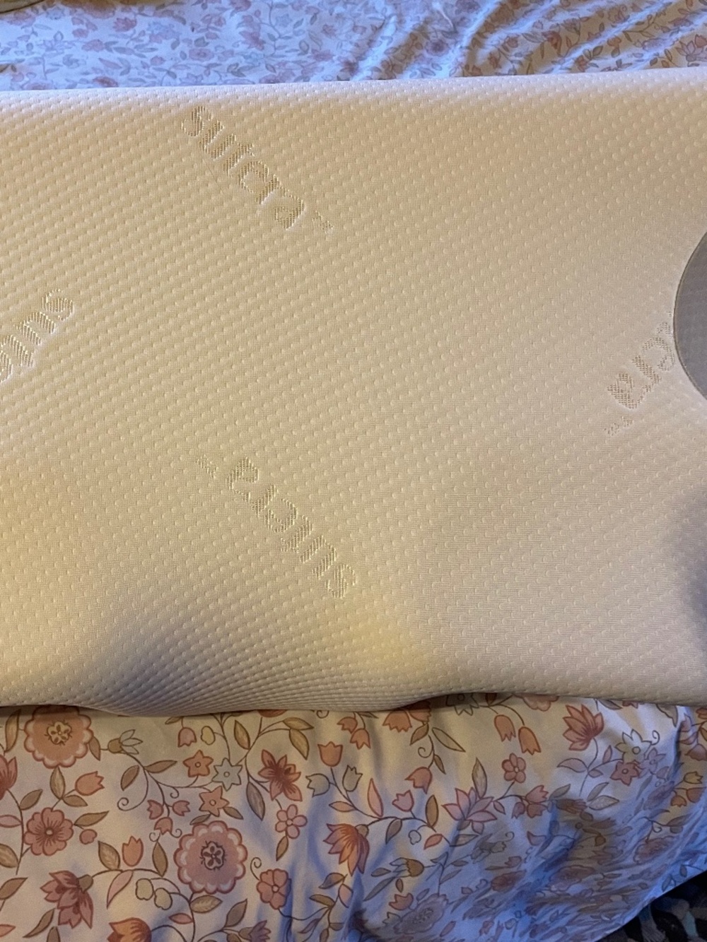 Pair of Sutera Dream Deep Contour Memory Foam Pillows